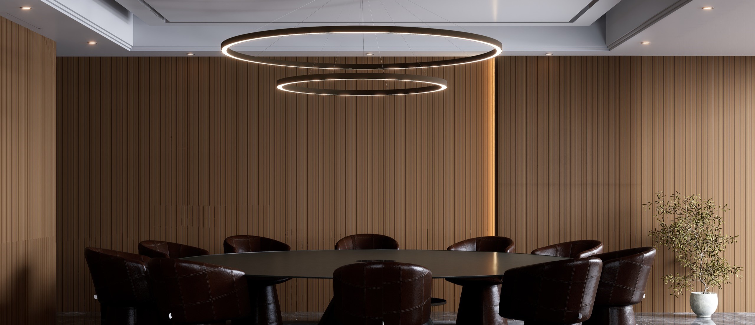 circular design suspension light